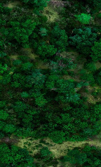 אופרן השכרת רכב בחו"ל - Ofran worldwide car rental