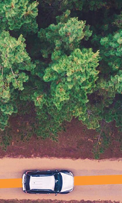 ביטוח תאונות אישיות | Personal Accident Insurance